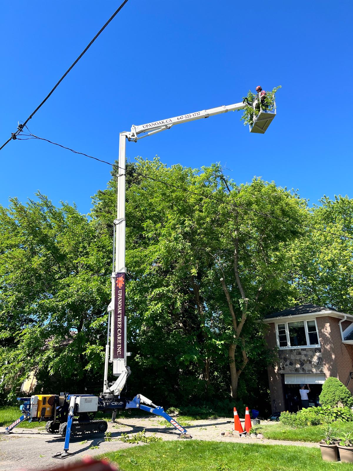 Arborist pruning branches near hydro lines from a spider lift bucket in Pickering