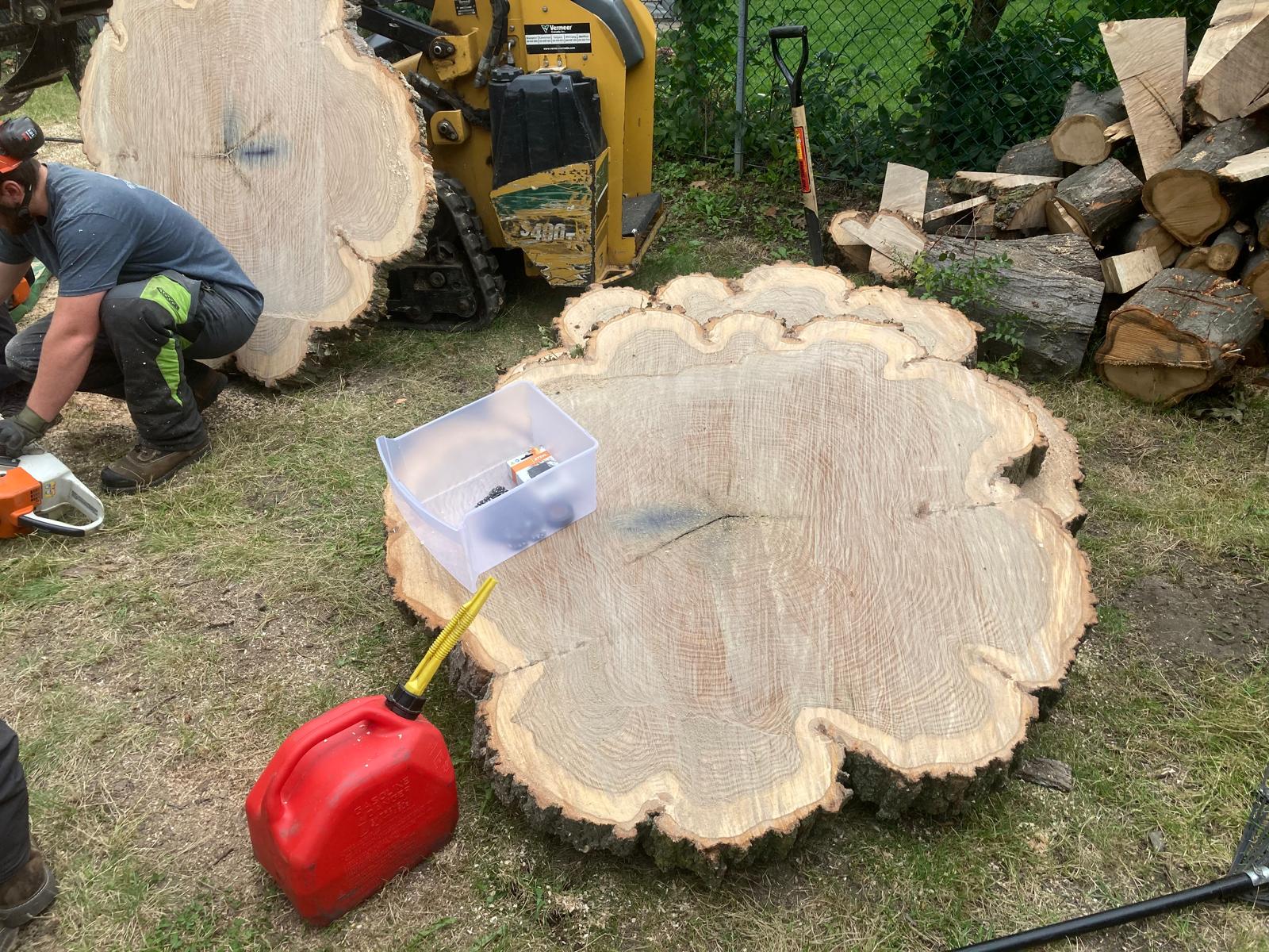 Crew bucking large-diameter hardwood rounds after a tree removal in Ajax