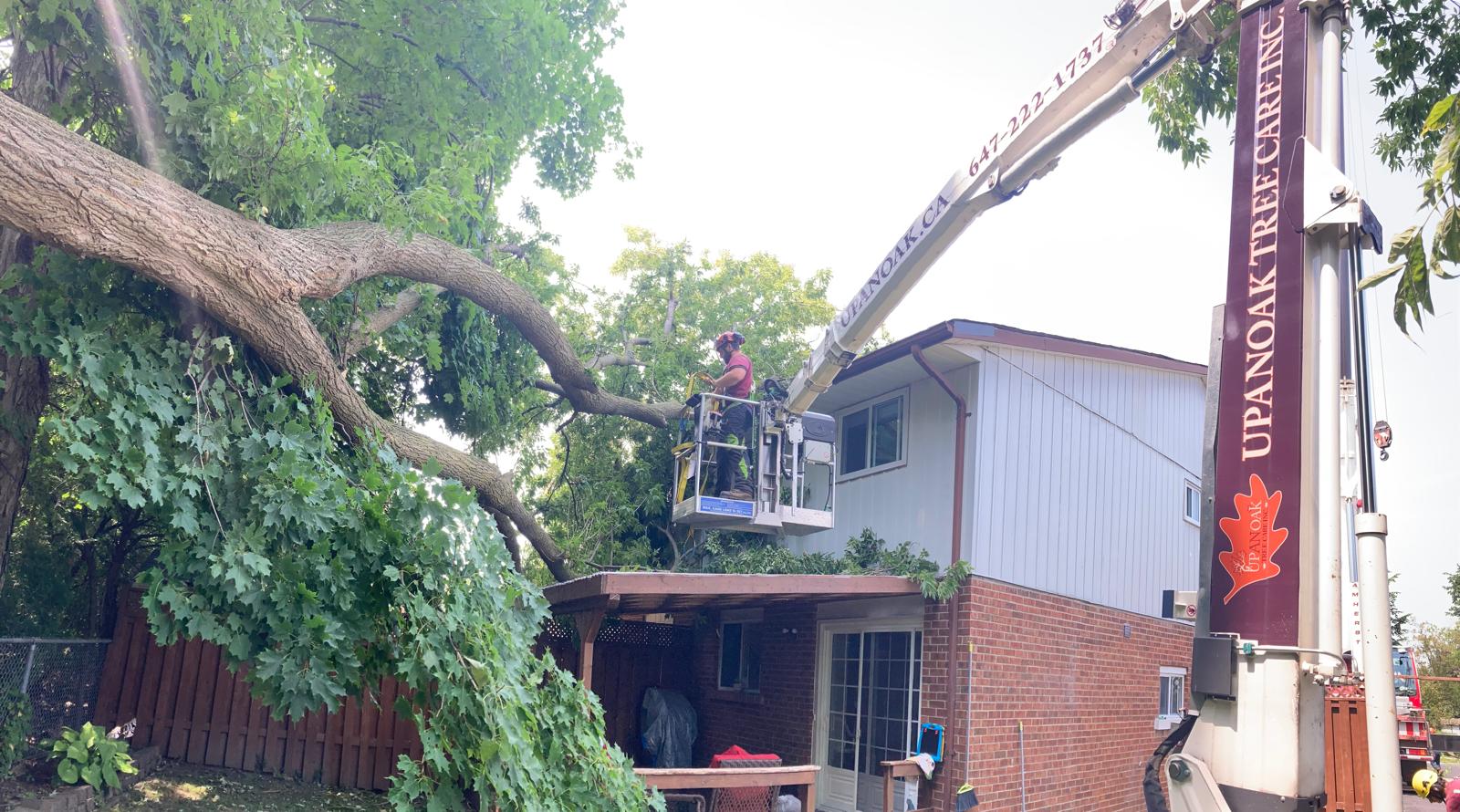 Arborist clearing a large storm-failed limb from over a deck in Pickering