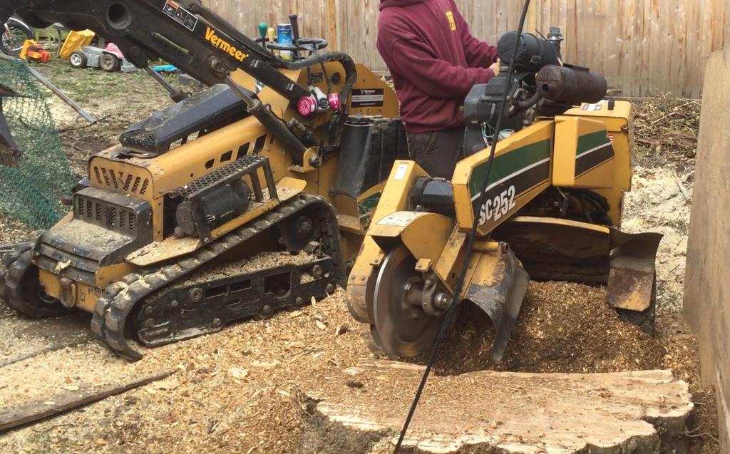 Tracked stump grinder cutting a stump below grade in Durham Region