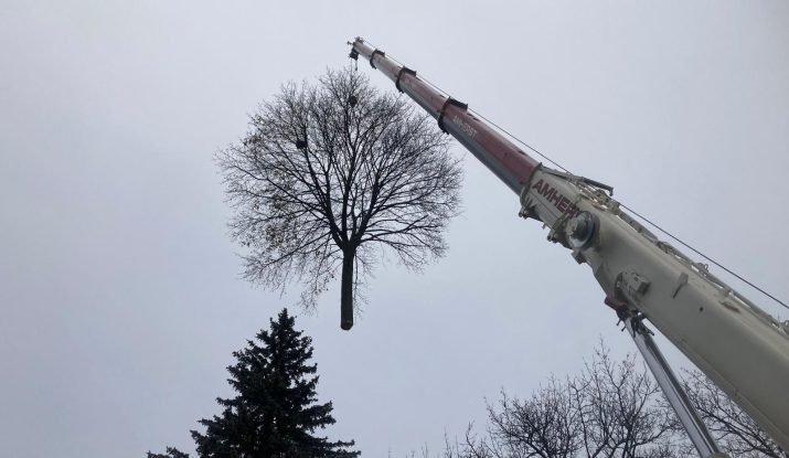 Durham Tree Care