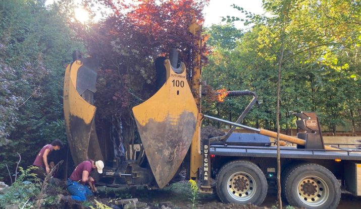 Stump Griding Service