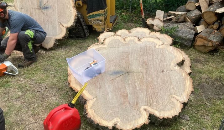 Tree Removal Ajax