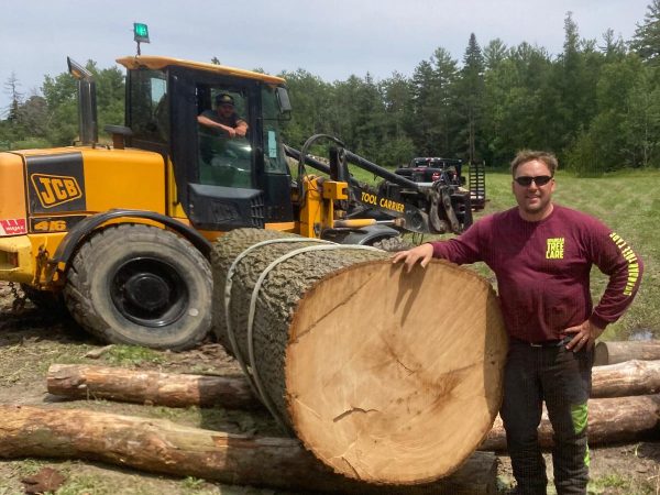 Tree Removal Service