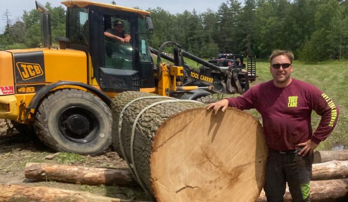Tree Removal Service
