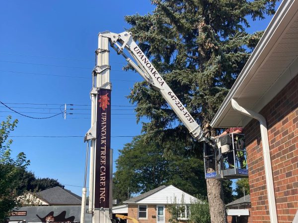 arborist ajax