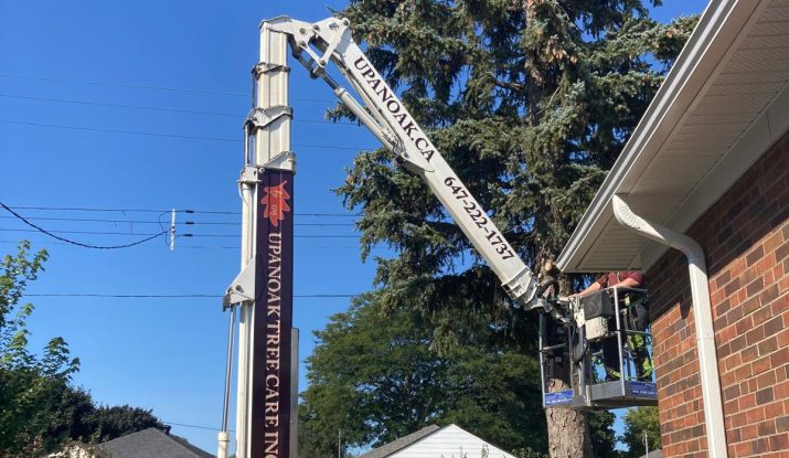 arborist ajax