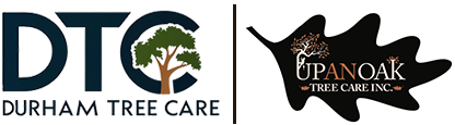 Durham Tree Care Services